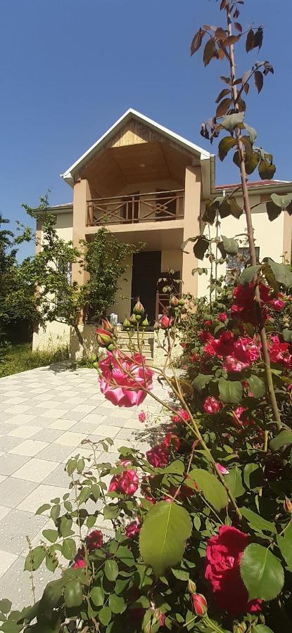 Gabala Sweet Home Esterno foto