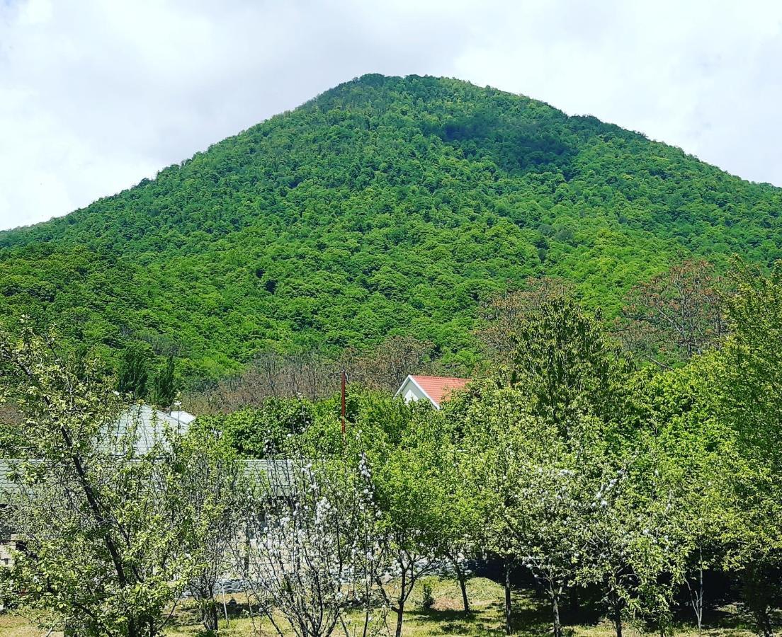 Gabala Sweet Home Esterno foto